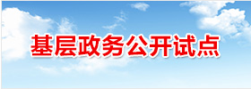 基层政务公开试点