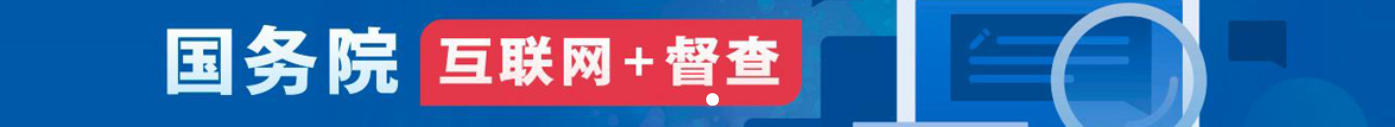 国务院加政务督查