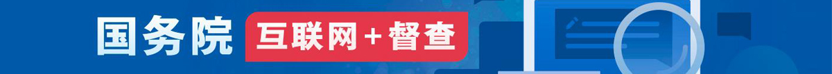 互联网+督查