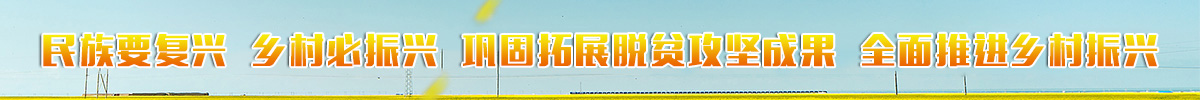 乡村振兴