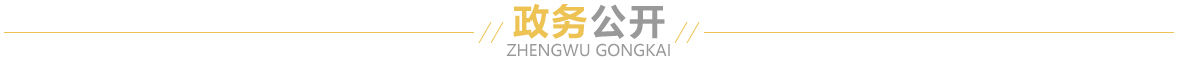 政务公开